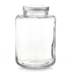 Zeller Pot en verre Nibley - Verre transparent - Transparent - Ø 20 cm x 29,5 cm